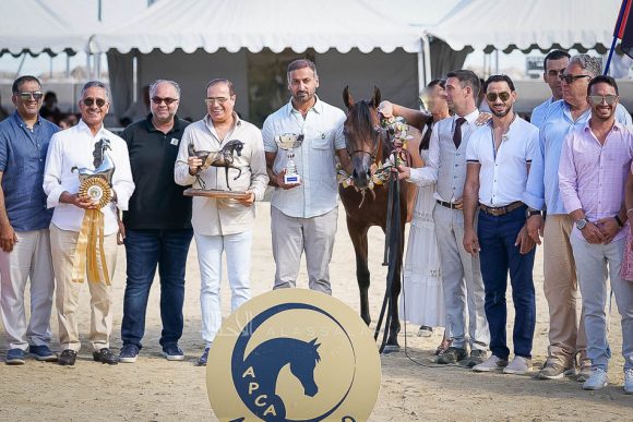 دي مزيان (اف ايه الرشيم  x  دي مزايا) مربط دبي – الإمارات