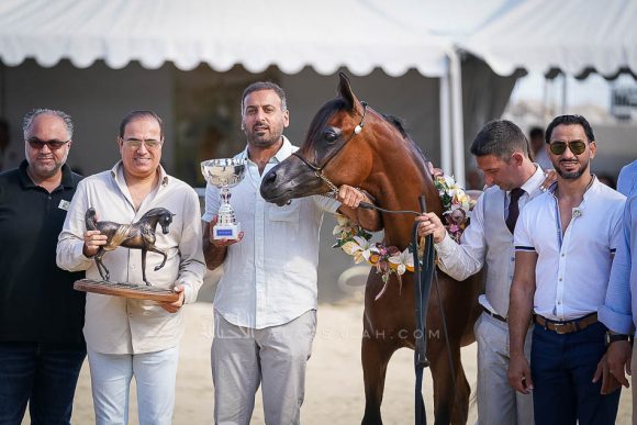 دي مزيان (اف ايه الرشيم  x  دي مزايا) مربط دبي – الإمارات