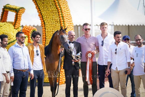 دوسر السيد (فاليدورو x ديلايتس ديفا ار بي) مربط السيد – السعودية