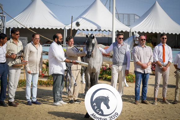 فيجارو (وادي الشقب x شيرين باي ايشا) مزرعة الجاسيمية – قطر