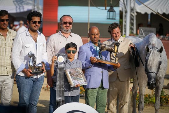 إي كي اس منصور (إي كي اس الياهندرو x  إي كي اس فطينة) مربط الشحانية