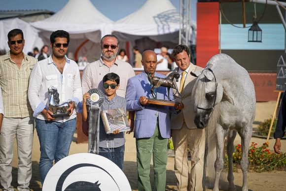 إي كي اس منصور (إي كي اس الياهندرو x  إي كي اس فطينة) مربط الشحانية