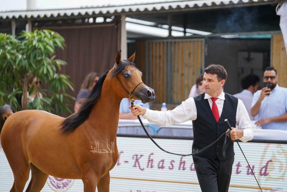 منتون 2019Meton-03536