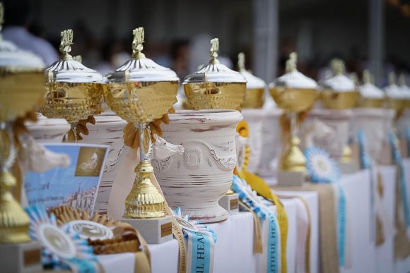 منتون 2019Meton-03829