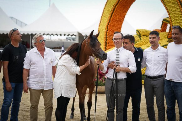 منتون 2019Meton-03854