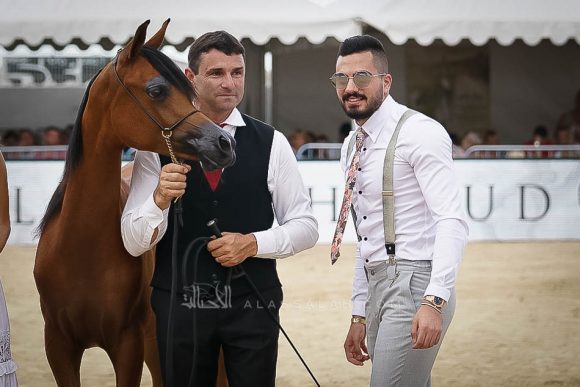 منتون 2019Meton-03872