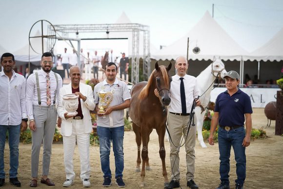 منتون 2019Meton-03881