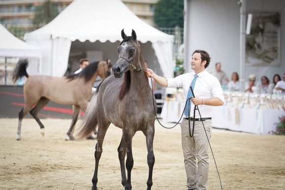 منتون 2019Meton-03923