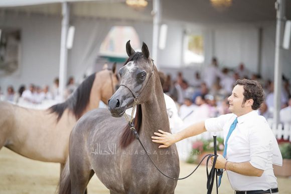 منتون 2019Meton-03933