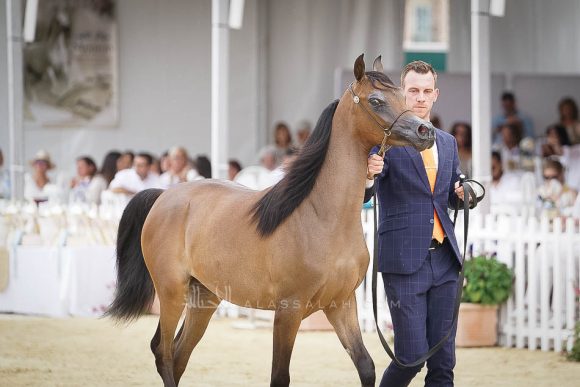 منتون 2019Meton-03978