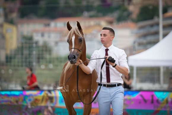 منتون 2019Meton-03982