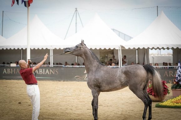 منتون 2019Meton-04379