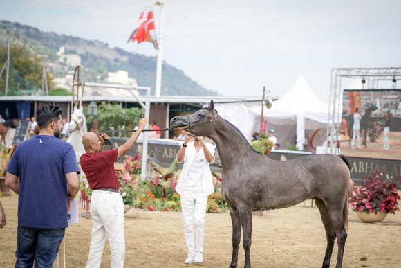 منتون 2019Meton-04383