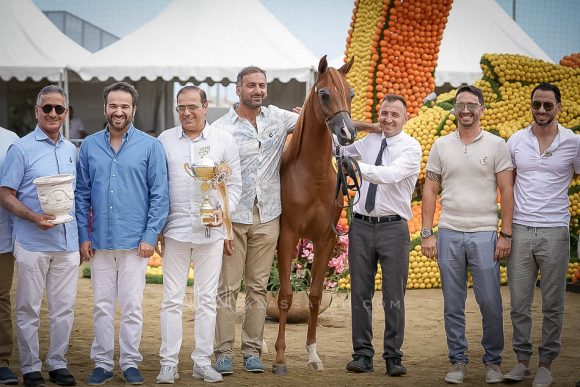 منتون 2019Meton-04398