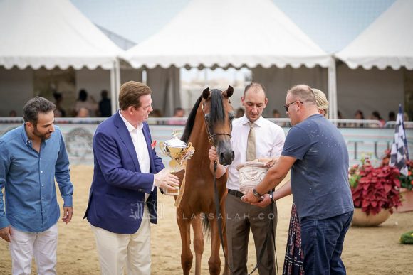 منتون 2019Meton-04404