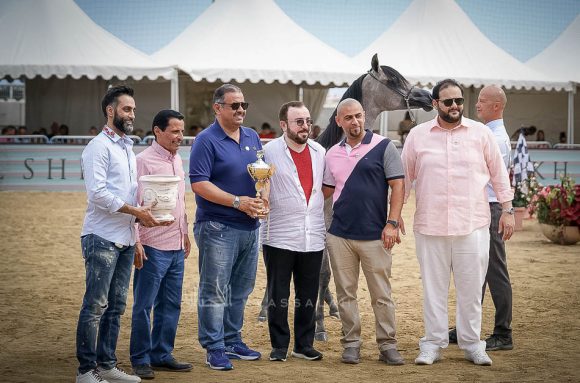 منتون 2019Meton-04453