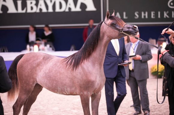 ISSS7127آخن ٢٠١٩