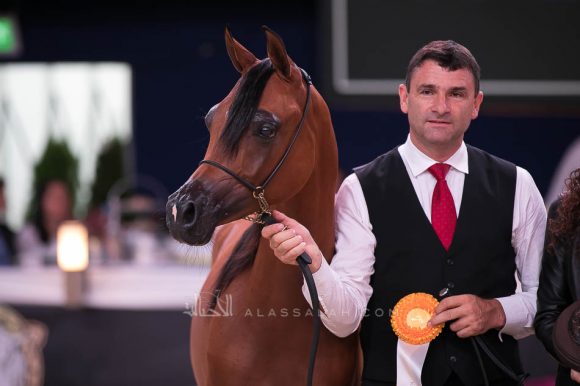 ISSS7157آخن ٢٠١٩