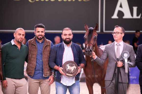 ISSS7161آخن ٢٠١٩