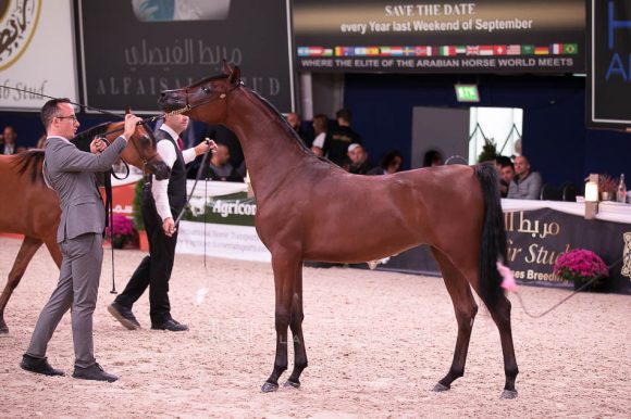 ISSS7168آخن ٢٠١٩