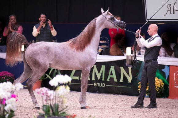 ISSS7174آخن ٢٠١٩