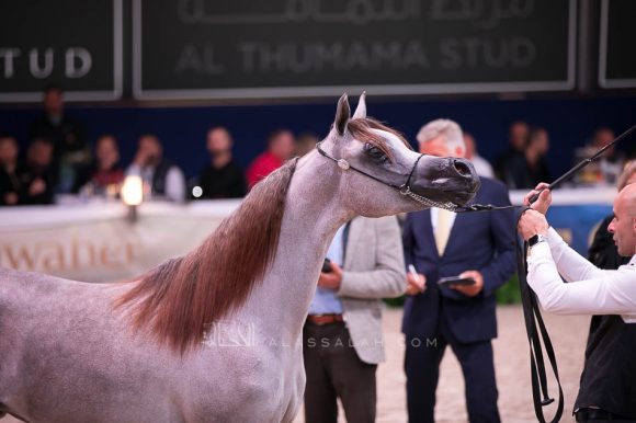 ISSS7196آخن ٢٠١٩