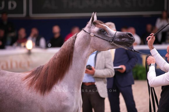 ISSS7198آخن ٢٠١٩