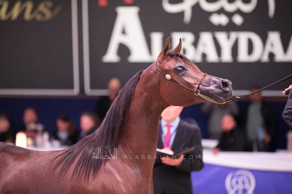 ISSS7207آخن ٢٠١٩