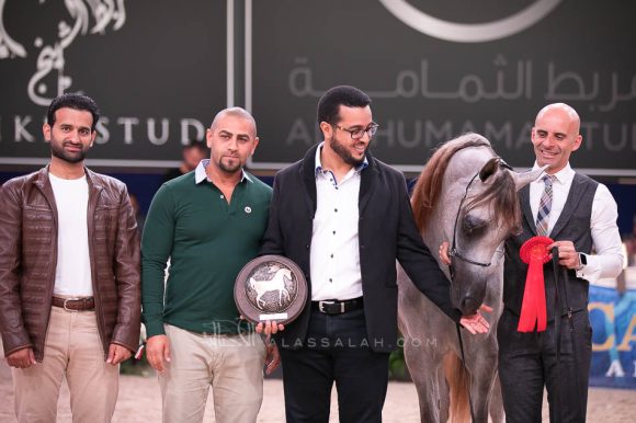 ISSS7234آخن ٢٠١٩