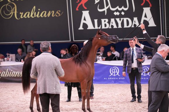 ISSS7249آخن ٢٠١٩