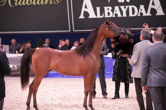 ISSS7253آخن ٢٠١٩