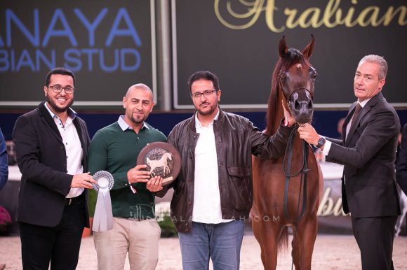 ISSS7265آخن ٢٠١٩