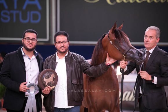 ISSS7270آخن ٢٠١٩