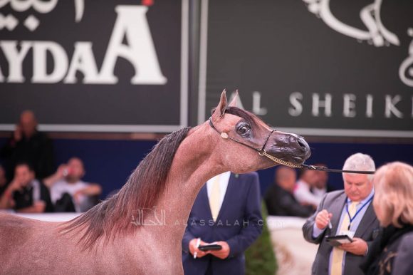 ISSS7289آخن ٢٠١٩