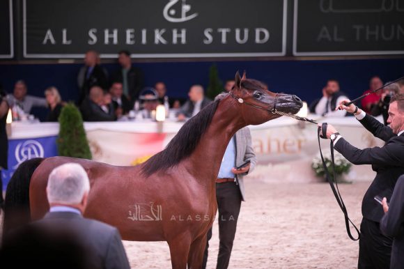 ISSS7295آخن ٢٠١٩