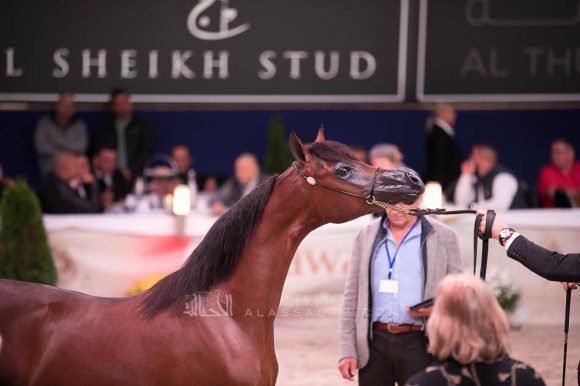 ISSS7296آخن ٢٠١٩