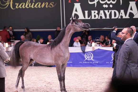 ISSS7305آخن ٢٠١٩