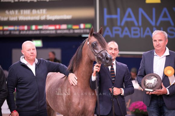 ISSS7310آخن ٢٠١٩