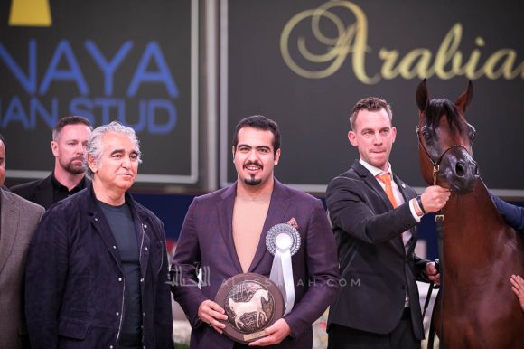 ISSS7314آخن ٢٠١٩