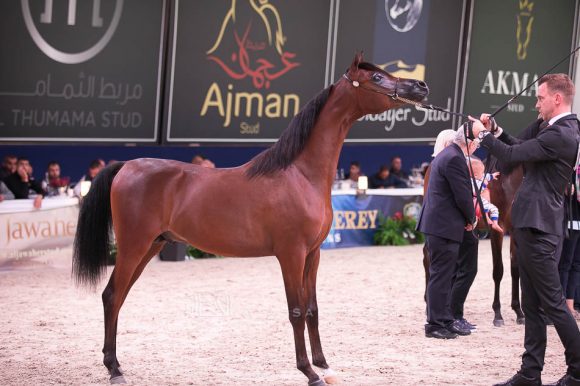 ISSS7324آخن ٢٠١٩