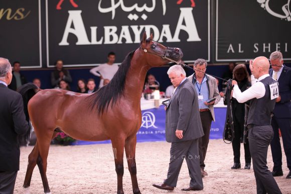 ISSS7342آخن ٢٠١٩