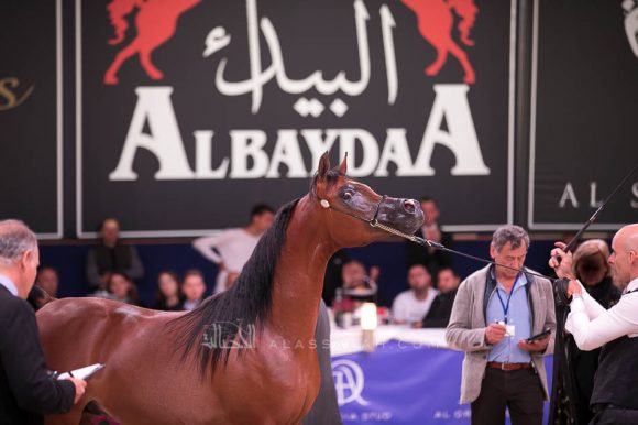 ISSS7343آخن ٢٠١٩