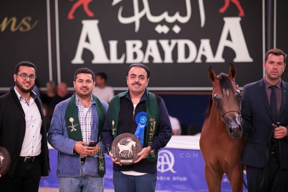 ISSS7370آخن ٢٠١٩