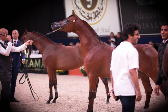 ISSS7373آخن ٢٠١٩