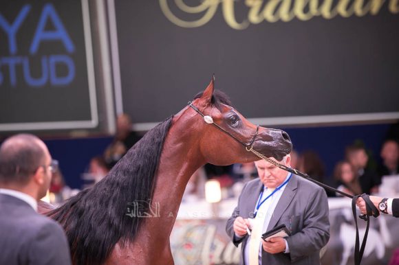 ISSS7382آخن ٢٠١٩