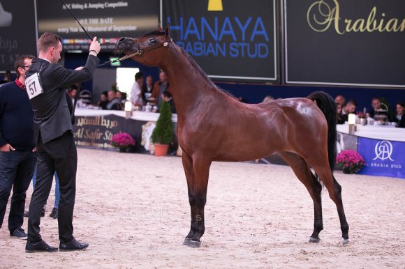 ISSS7399آخن ٢٠١٩