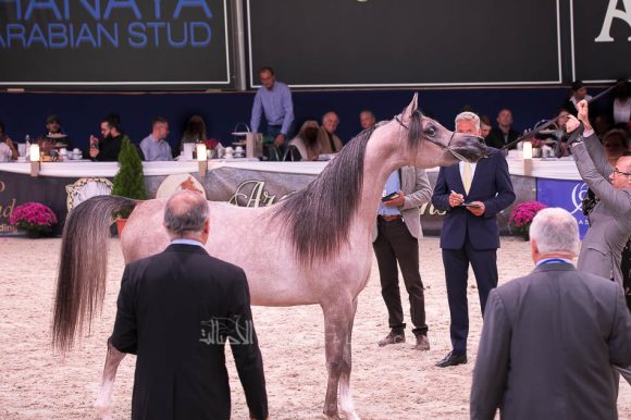 ISSS7425آخن ٢٠١٩