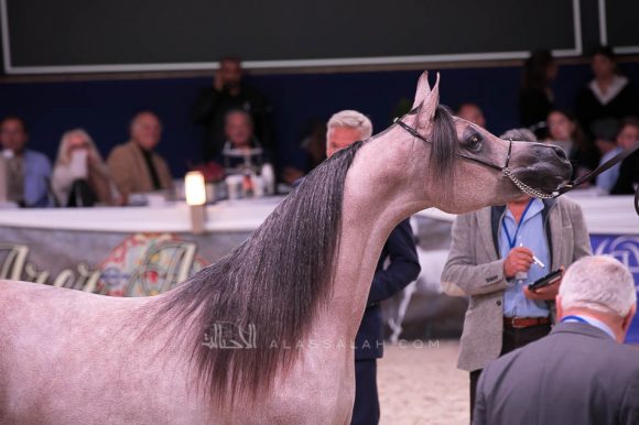 ISSS7430آخن ٢٠١٩