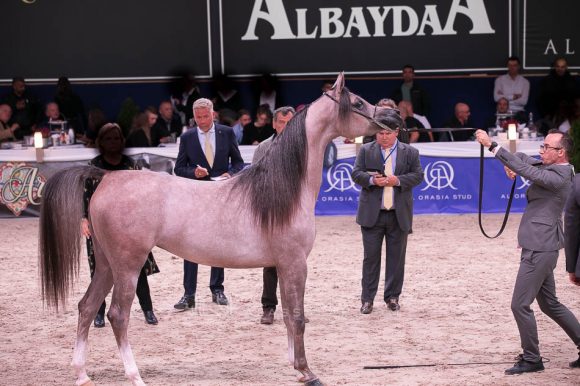 ISSS7432آخن ٢٠١٩