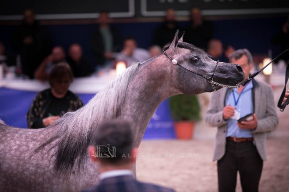 ISSS7471آخن ٢٠١٩